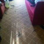 Sunnyvale-Carpet-Clean-before