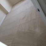 Sunnyvale-Carpet-Clean-room