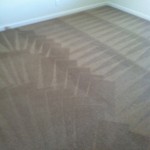 Sunnyvale-Carpet-Cleaning-Wall-To-Wall