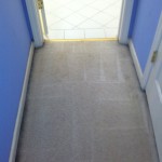 Sunnyvale-Vomit-after-carpet