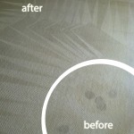 Sunnyvale-Wine-Stain-Carpet-Cleaning